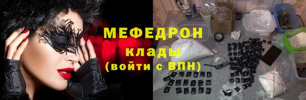 МДПВ Бородино