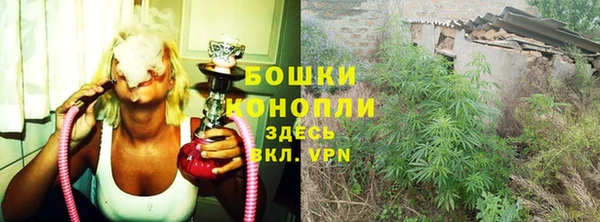 apvp Богородицк