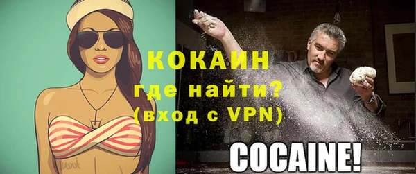 apvp Богородицк