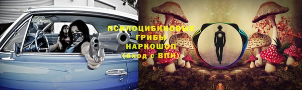 apvp Богданович