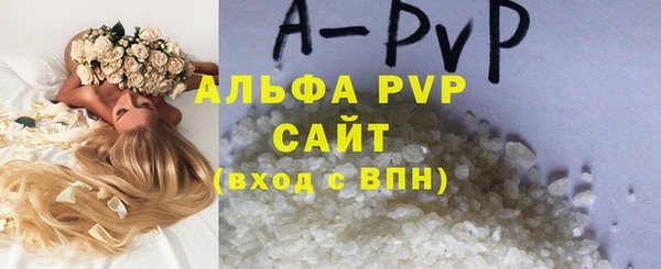 apvp Богданович
