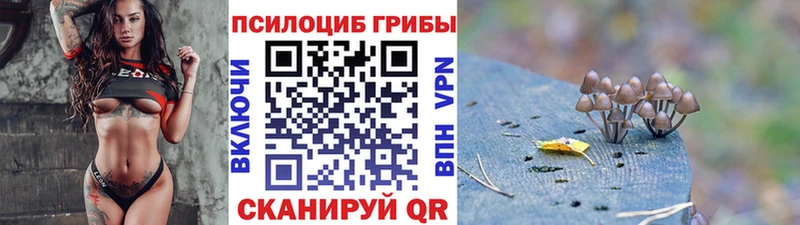 Галлюциногенные грибы мицелий  Кузнецк 